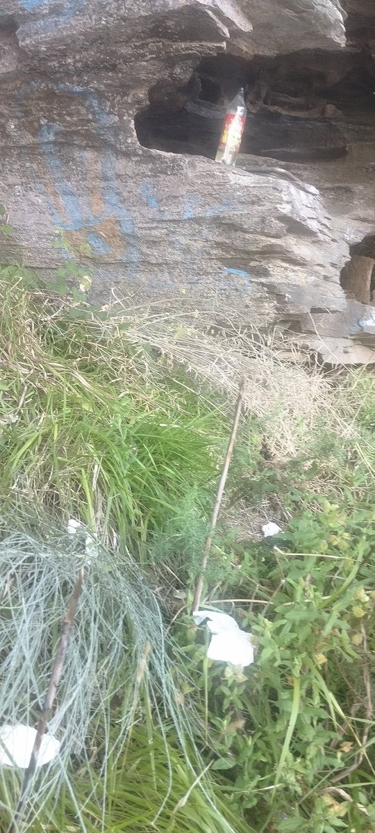 Amanece007's tweet photo. Solemos llamar animales y cerdos y guarros a gente sucia que va tirando porquerías y basura a la naturaleza.
Pues así hacen contigo, llaman democracia, solidaridad, confianza, etc, a cosas para ocultarte lo que son.
Todo lo que viene del Estado y del sistema es mentira. 
Espabila https://t.co/1INQTRi0EG