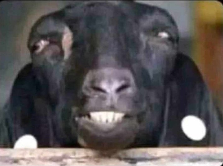 retiredsooul's tweet photo. Eye contact kidogo na mafuta nishajibaka https://t.co/z5ZPAYeoC6