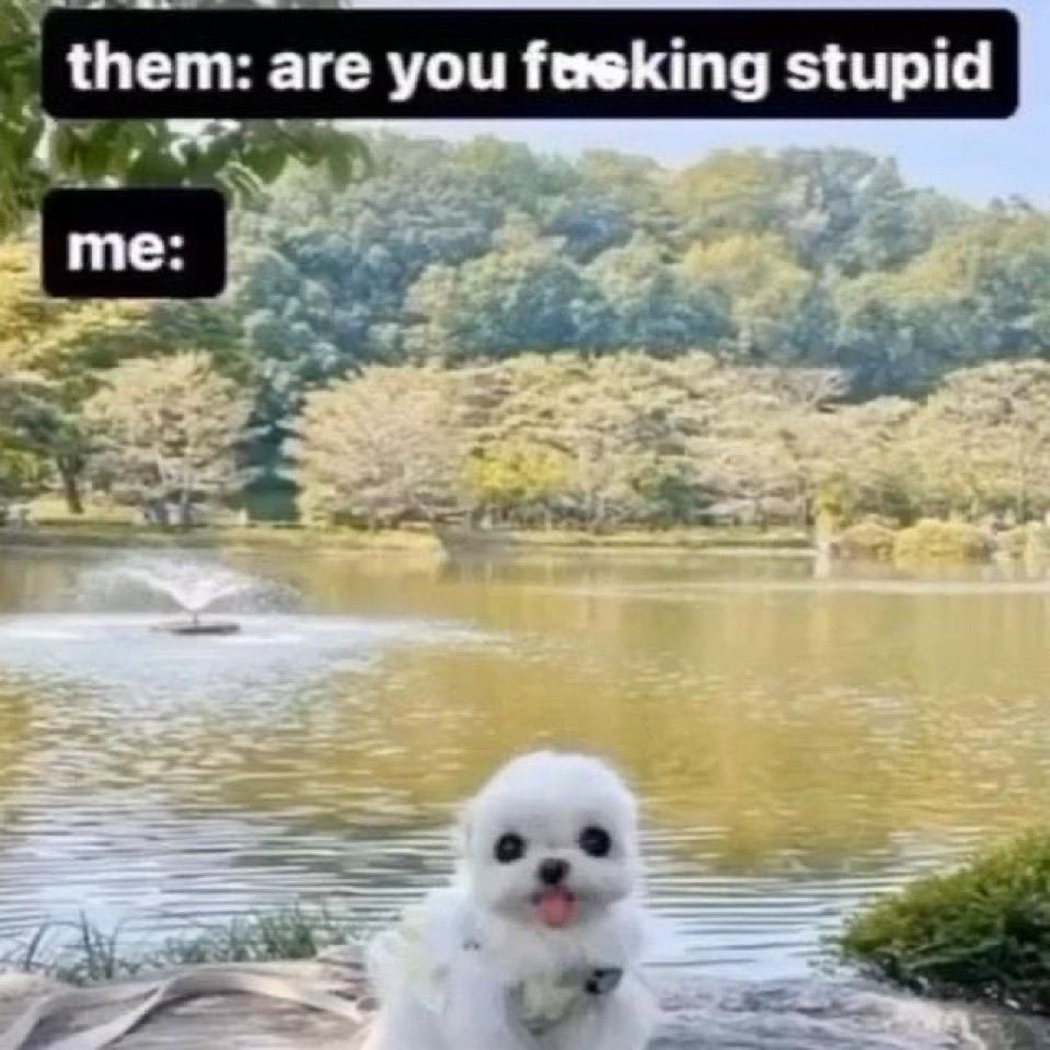 shitpost_daily's tweet photo. https://t.co/YjRGT8UlEZ
