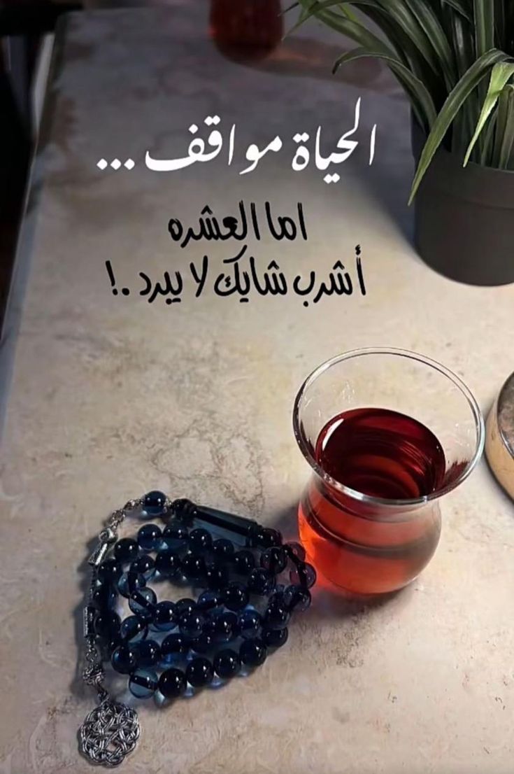 _Sunlight2468's tweet photo. 💥

كلما زادت معرفتك بالحياة…
أدركت أن ليس كل ما تسمعه يستحق التصديق، وليس كل ما يُقال يستحق الرد. فالنضج يمنحك قدرة أعظم على التمييز.

🌷🌷 https://t.co/FiHVEBkmj1