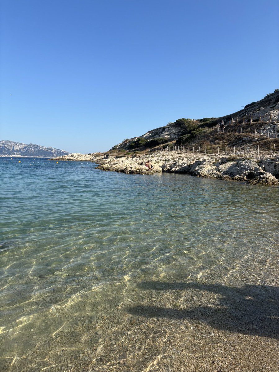 ali_ch75's tweet photo. le sud >>> https://t.co/MHEEbqQ2wb