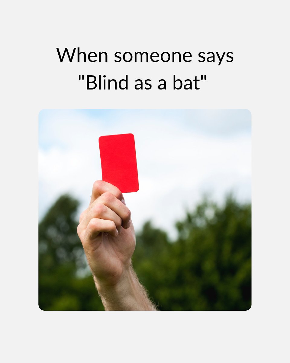 CWF_FCF's tweet photo. 🟥 Straight red.
These bat myths are heading to the sidelines. Which one fooled you? 🦇

#FIFAWorldCup #HelpTheBats https://t.co/ATQUySVL1e
