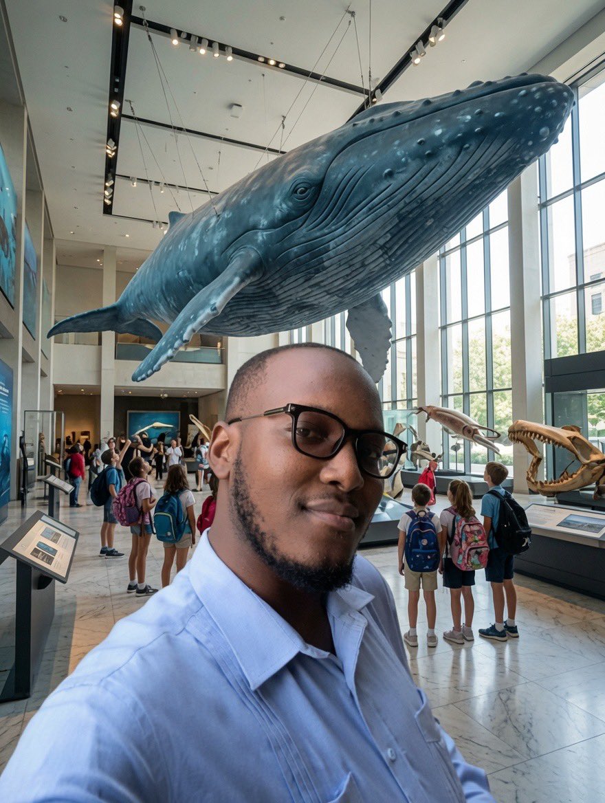 EM_Mabunguta's tweet photo. Après analyse médicale du cétacé qui s’est échoué sur la côte atlantique à Moanda, je suggère au gouvernement de procéder à la conservation de sa carcasse ou de son squelette et de l’exposer dans un musée ou sur un site à Moanda. 
Et voici la raison.👇
@TemuniP https://t.co/YKYNiLsqsI