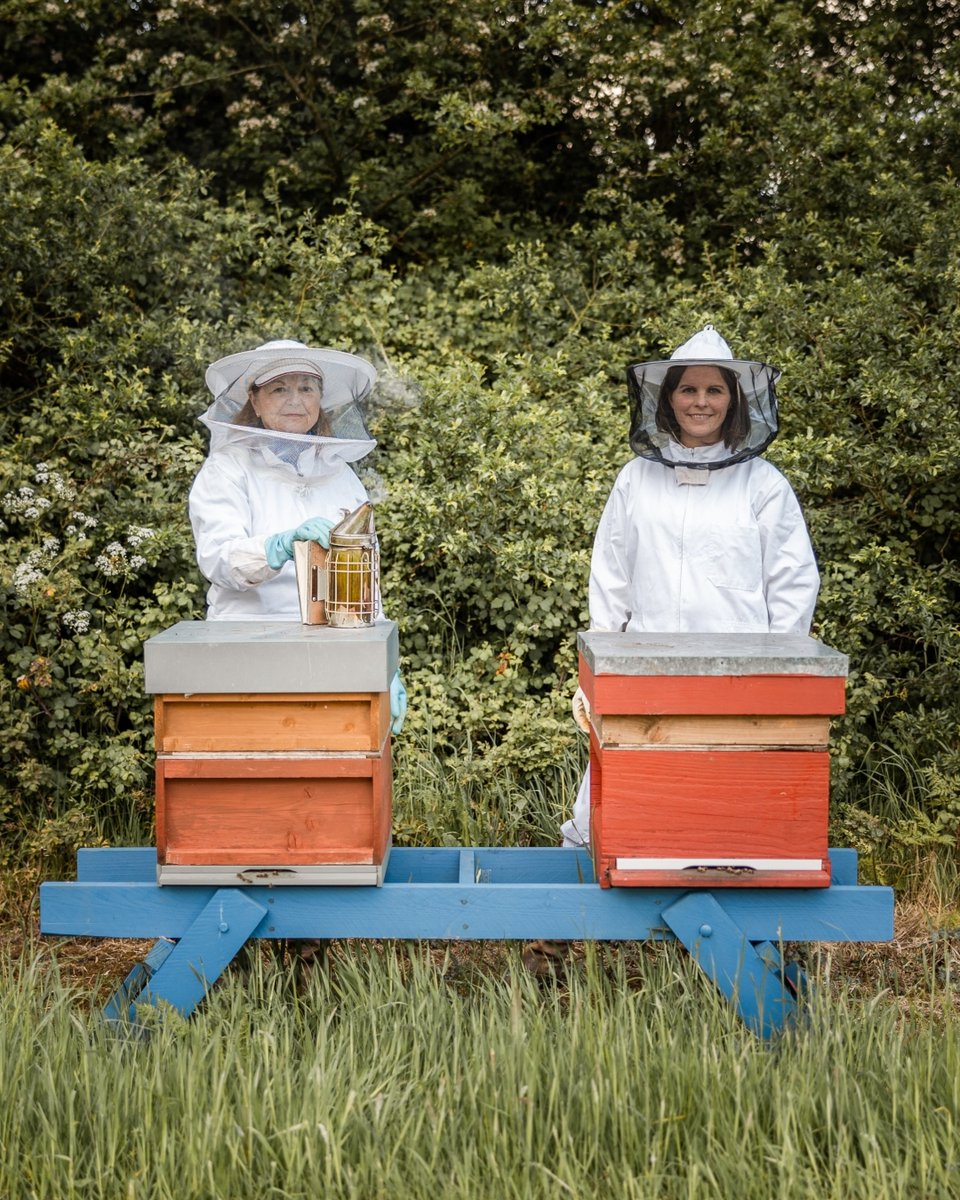 Silksgin's tweet photo. Each distillation of #SilksGin includes a jar of #honey which has been hand-harvested from beehives carefully tended to by Marie & Sally Anne Cooney, in their family's #BoyneValley apple orchard ๐ฏ
#Gin #CraftGin #IrishGin #GinAndTonic
https://t.co/7WKriqS8d6 https://t.co/Xxxk72hzMM