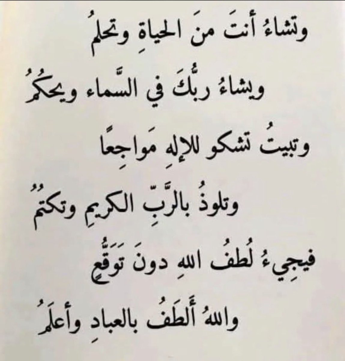 هِند 🌻 tweet media