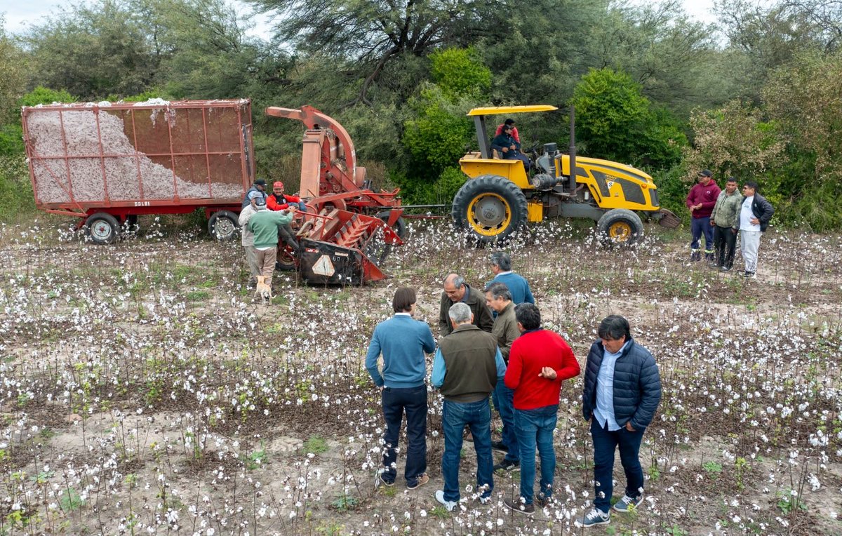 GobiernoSDE's tweet photo. 🚜 Recorriendo el territorio, fortaleciendo la producción

Con el compromiso de estar cerca de quienes producen y trabajan todos los días por el desarrollo de Santiago del Estero, el Ministerio de Producción 👇🏼 https://t.co/JYjHReJ6Vs