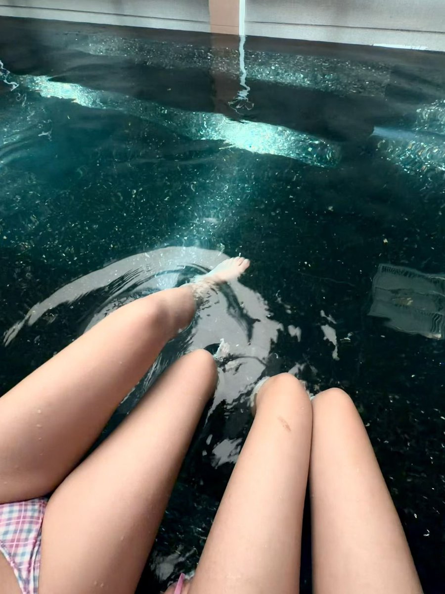 kris88112's tweet photo. 和🐢🐢！怎么发不了动图啊？ https://t.co/lkrW3Iqxoc