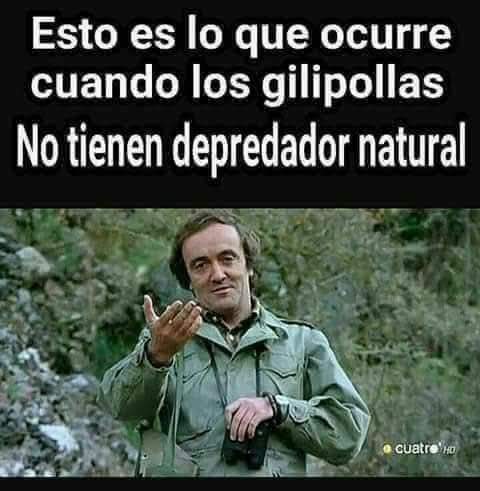 MarcoJoseManuel's tweet photo. @edatvoficial https://t.co/XBe1KXvQlj
