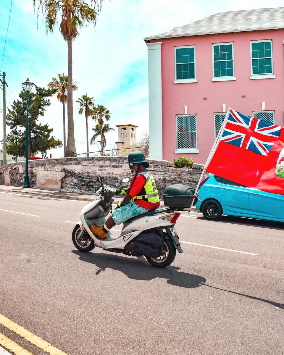 Bermuda tweet media