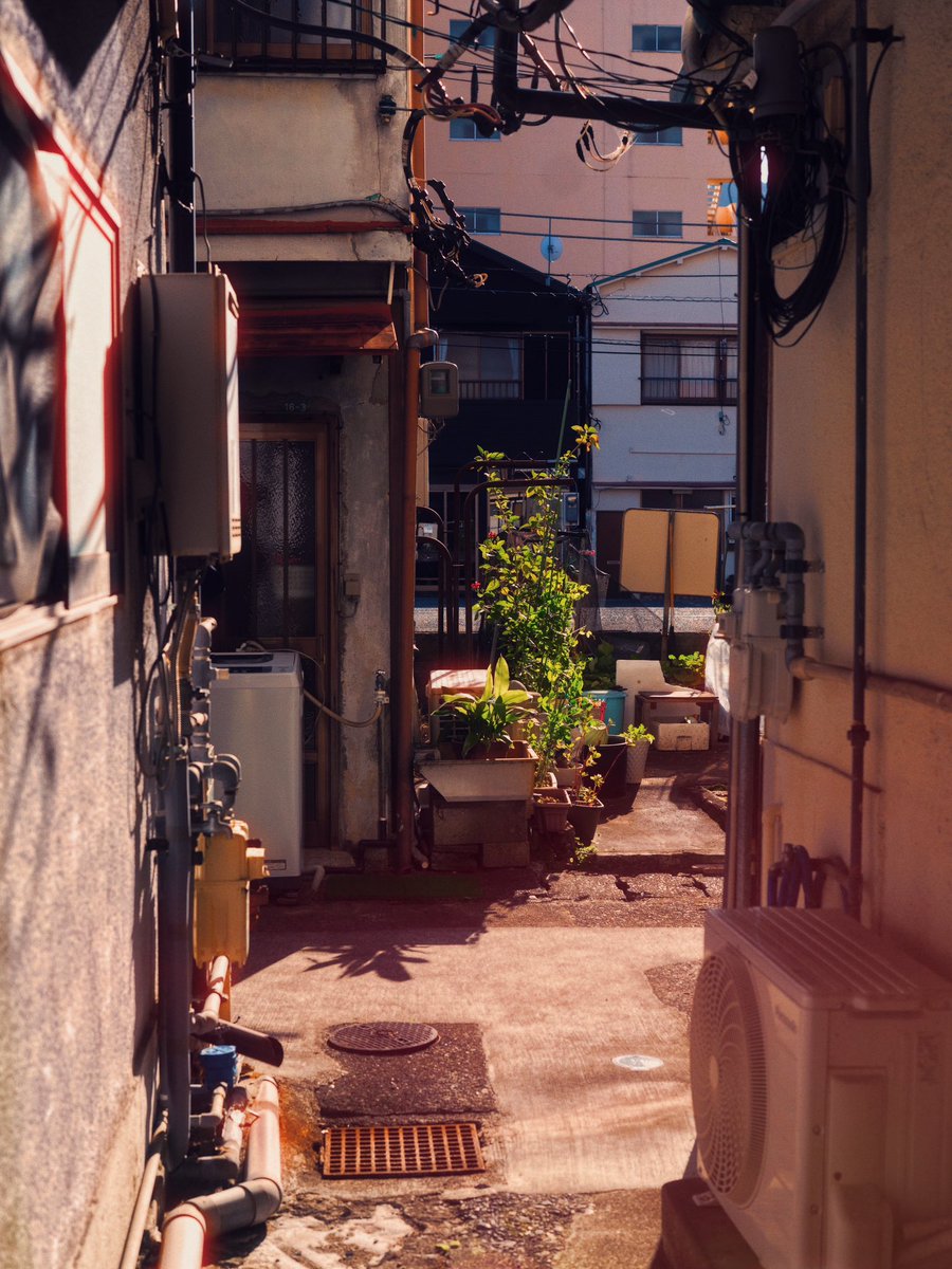 surudenise's tweet photo. Nostalgia is my lens https://t.co/xN5qetDyYu