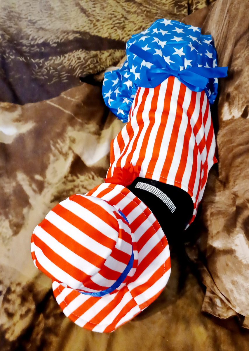 PrancerPaw's tweet photo. TinkerBelle says have a happy and safe 4th of July โค๏ธ๐บ๐ฒ๐ and please keep your pets indoors and safe tonight and away from chip bags. And please don't scare the wildlife with stupid fireworks. #FireworksScarePets #PetSafety #PreventPetSuffocation https://t.co/0QmrpyzIHY