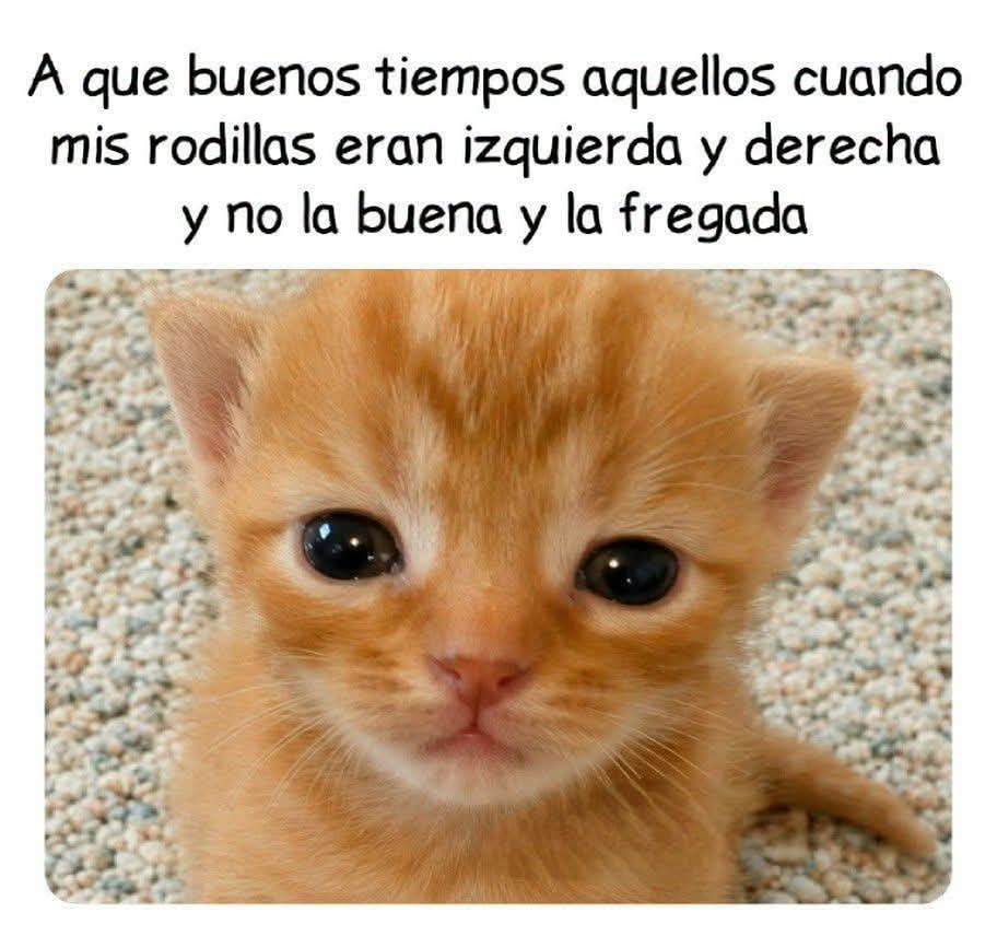 EnsedeCiencia's tweet photo. Qué difícil. https://t.co/LiRQqpclKZ