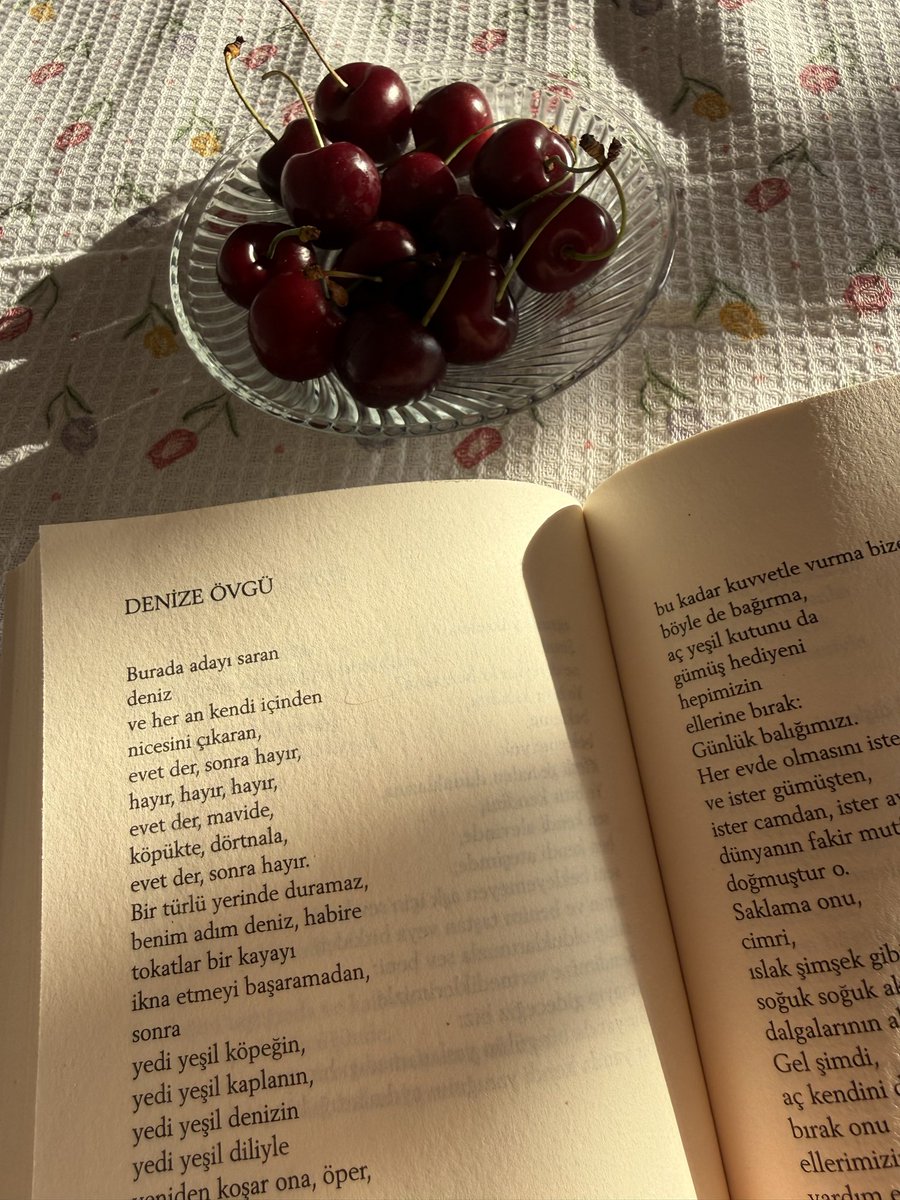 tumendilan's tweet photo. Pablo Neruda şiirleri 🌞 https://t.co/zST40vhLHQ