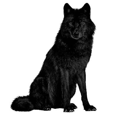 ofhellishwolves's tweet photo. Wᴏʟᴠᴇs ᴅᴏɴ'ᴛ ʟᴏsᴇ sʟᴇᴇᴘ 
ᴏᴠᴇʀ ᴛʜᴇ ᴏᴘɪɴɪᴏɴ ᴏғ sʜᴇᴇᴘ. https://t.co/yBiQ9eC8bu