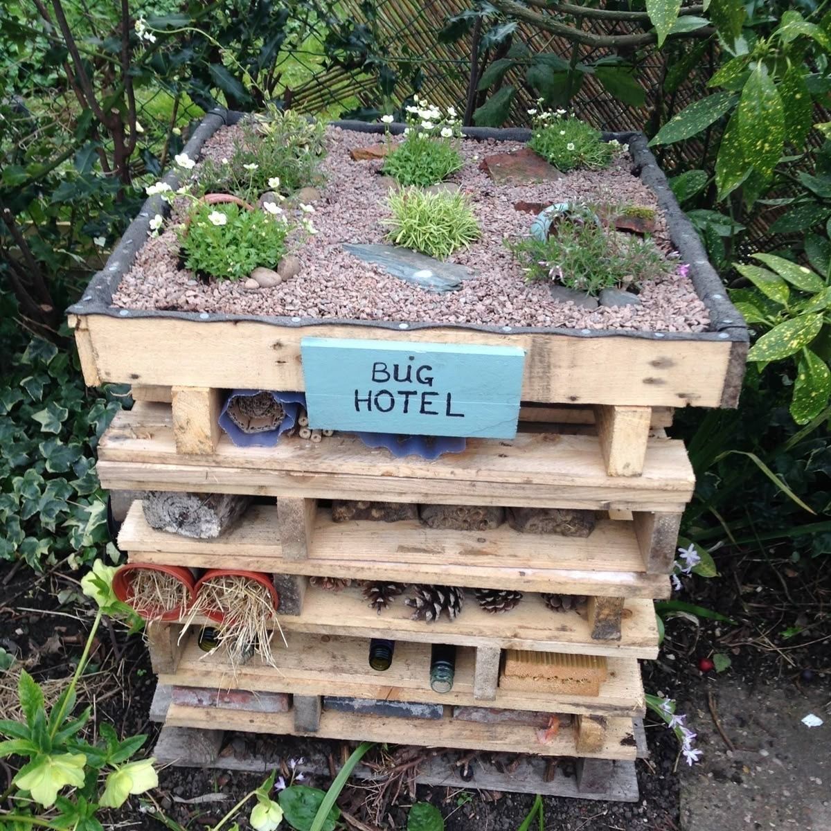 equine__dentist's tweet photo. god i wanna stay a night at the bug hotel so fucking bad https://t.co/cYMqLyhNEx