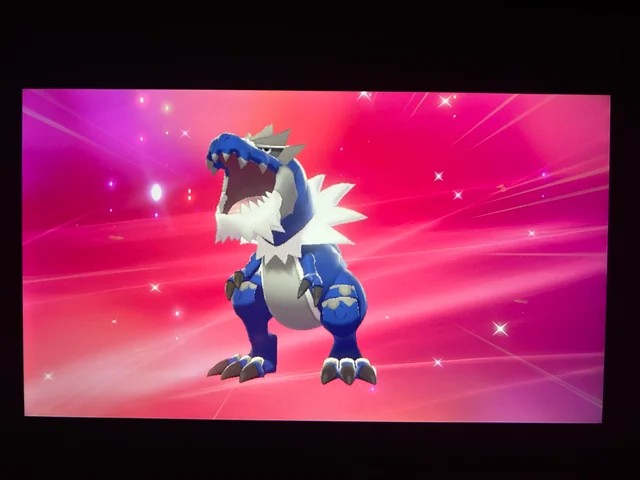 Sinnoh Trainer John tweet media