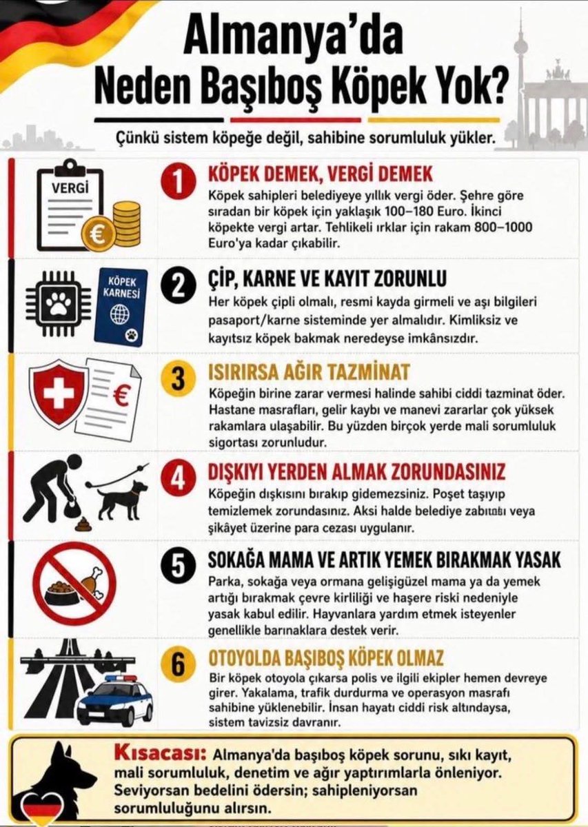 senolll57's tweet photo. Bakın Avrupa'da başıboş köpek varmı bizdeki cehalet şehirleri yaşanmaz hale getiriyor herkes itine bitine sahip çıksa bukadar canlar yanmayacaktı. https://t.co/rqzwhHwOAo