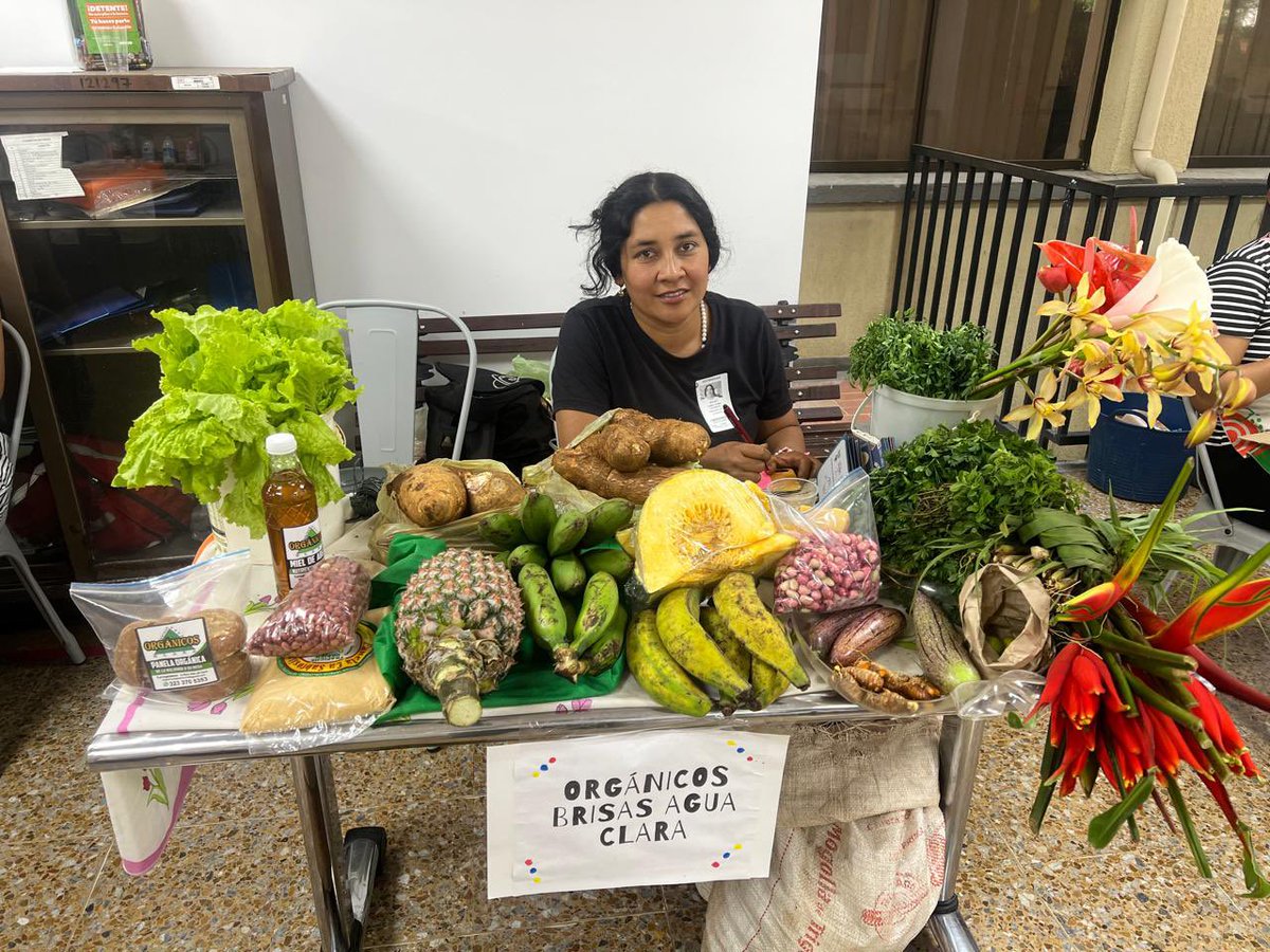 ICBFColombia's tweet photo. #BienestarValle | 10 productores de la región participaron del mercado campesino en Cali, en el que se resaltó el valor de nuestra tierra, el trabajo del campesinado y la importancia de la seguridad alimentaria. Una muestra de la riqueza agrícola y gastronómica del territorio. https://t.co/QRTDYJ0IGt