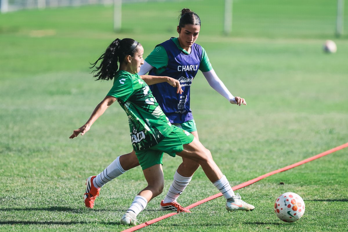 ClubSantosFem's tweet photo. Guerreras concluyen su tercera semana de pretemporada. 🇳🇬⚔️

🗞️: https://t.co/zJXoabQS0c https://t.co/8uZWV8rSuY