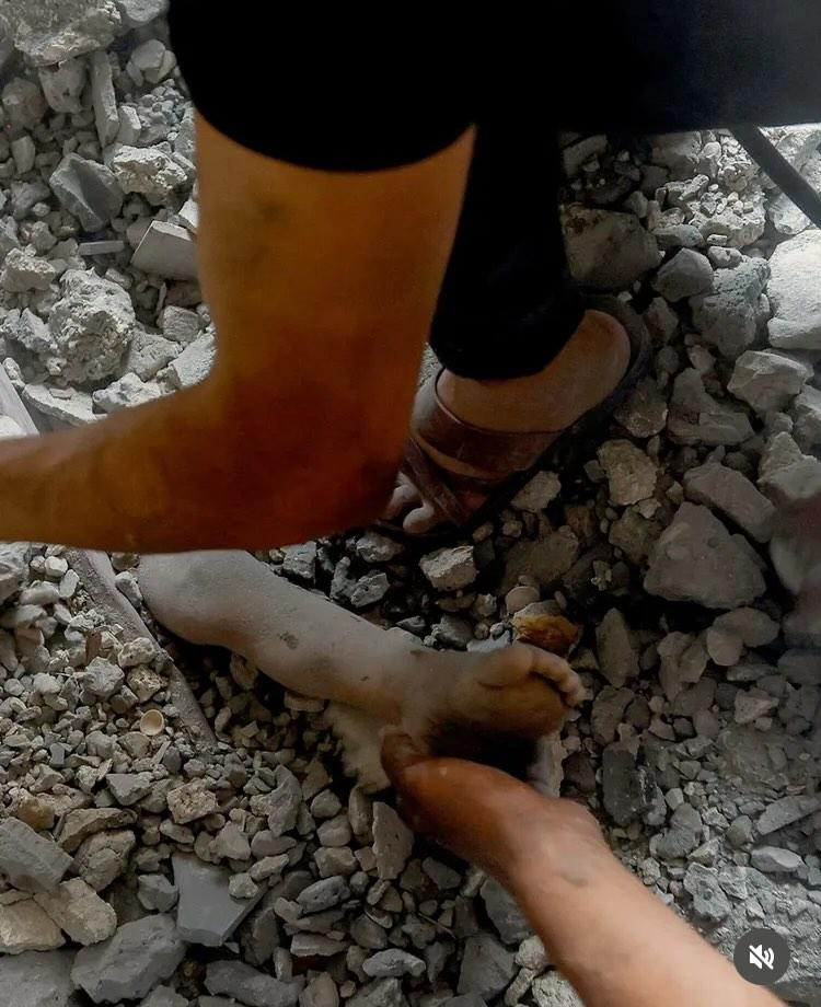 zaddou1's tweet photo. @VividProwess Il fallait leur monter ces photos qui parlent de l'entité sioniste criminelle génocidaire colonisatrice 
Il ne faut pas cacher la vérité https://t.co/hi1Q5ZVWLH