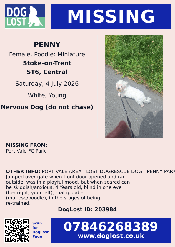 millypod1's tweet photo. 🆘4 JULY 2026 #Lost Penny #ScanMe
Miniature Maltipoo Female #RESCUE
Nervous Dog (do not chase) Blind in one eye
Port Vale Football Club Park #Burslem #StokeOnTrent
#Staffs #Staffordshire #ST6
https://t.co/vRVRFRqmbo https://t.co/GbS3RxCStd