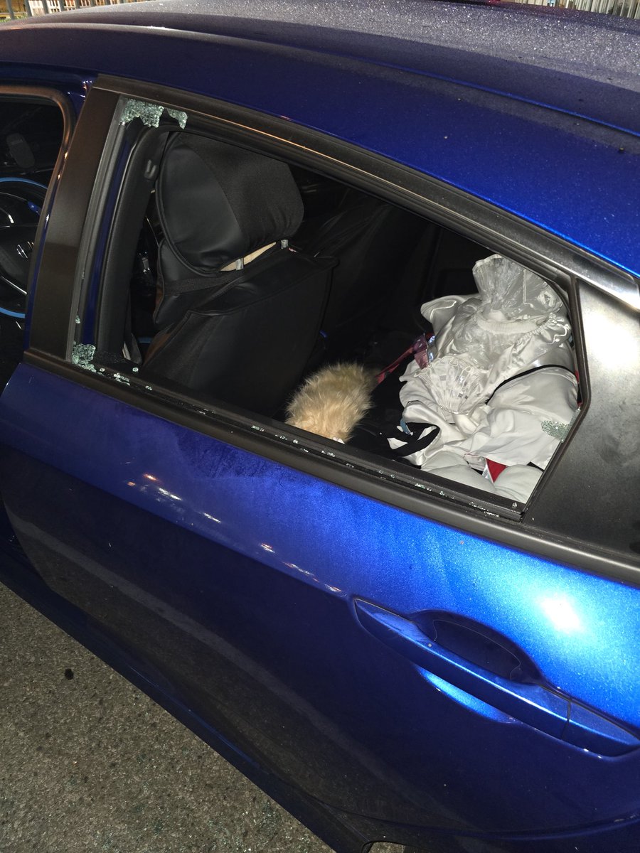 Milessmiles__'s tweet photo. Imagine going to a overly packed anime con, having your feet hurt from walking so much, and coming back to your car being broken into 😀 https://t.co/3ABnp73GWu