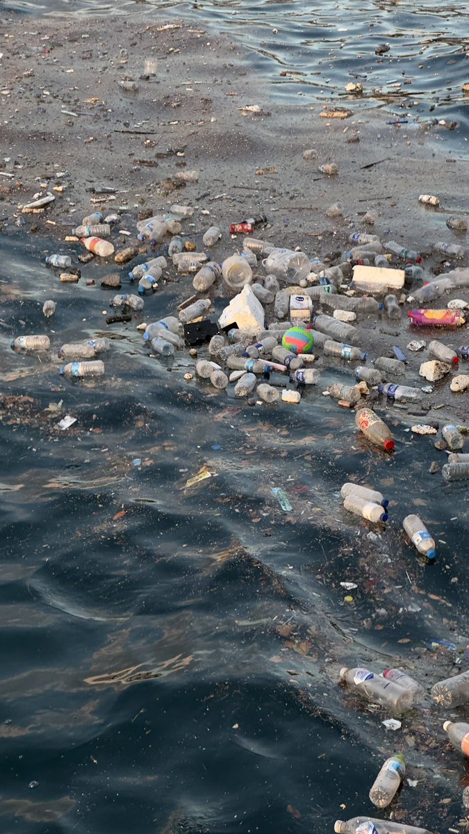 ahu_oztrk's tweet photo. Bu fotoğrafları bugün Üsküdar’da çektim, çok “üzülerek ve utanç” duyarak paylaşıyorum. Nasıl bu kadar kötü olabilir insanlar ! Ayrıca sahilde balık tutanlar yüzünden denize sadece uzaktan bakabiliyoruz ve bu durumdan çok rahatsızım. Oltaların ucundaki kurşunlar kafamıza, gözümüze gelecek mi diye ödümüz kopuyor en azından benim. Yıllar evvel böyle balıkçılar yüzünden bir vatandaş gözünü kaybetmişti. Sahil sanki sadece balıkçılarınmış gibi olmuş.