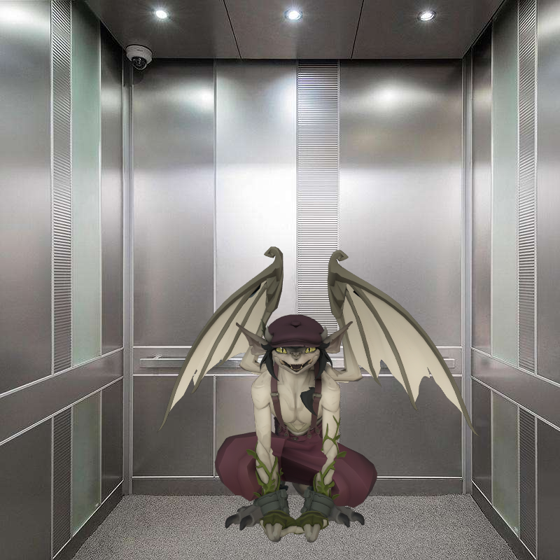 guiltron_'s tweet photo. there's a gargoyle in the elevator https://t.co/dedjvk9OFB