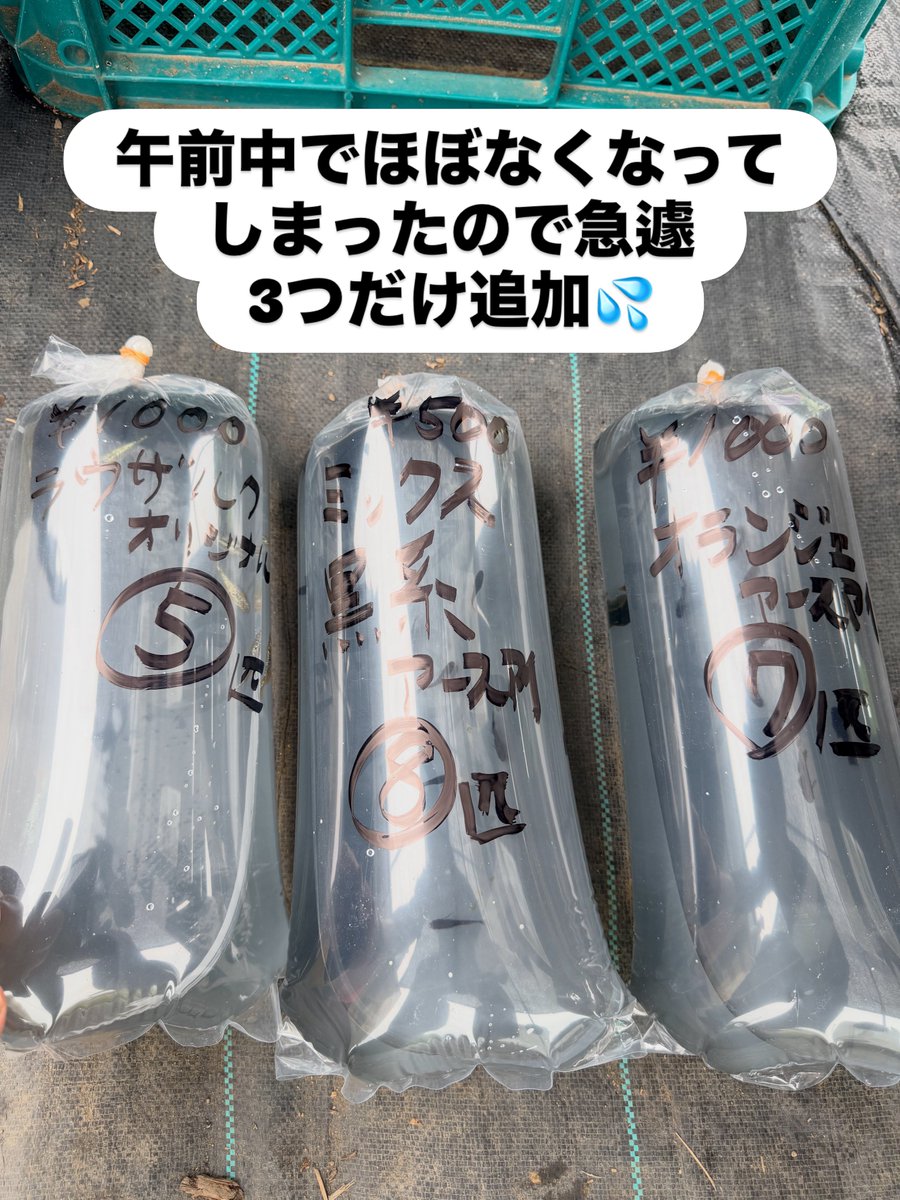 colt1701's tweet photo. この度は沢山のご来店ありがとうございます🙇‍♂️
午前中でほぼなくなってしまったので急遽少しだけ追加させていただきました💦

午後も宜しくお願い致します🤲
#メダカ#メダカ無人販売 https://t.co/lyagrunmFn