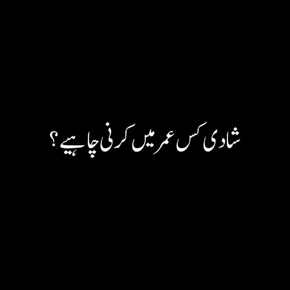 حمیرا ص د ف tweet media