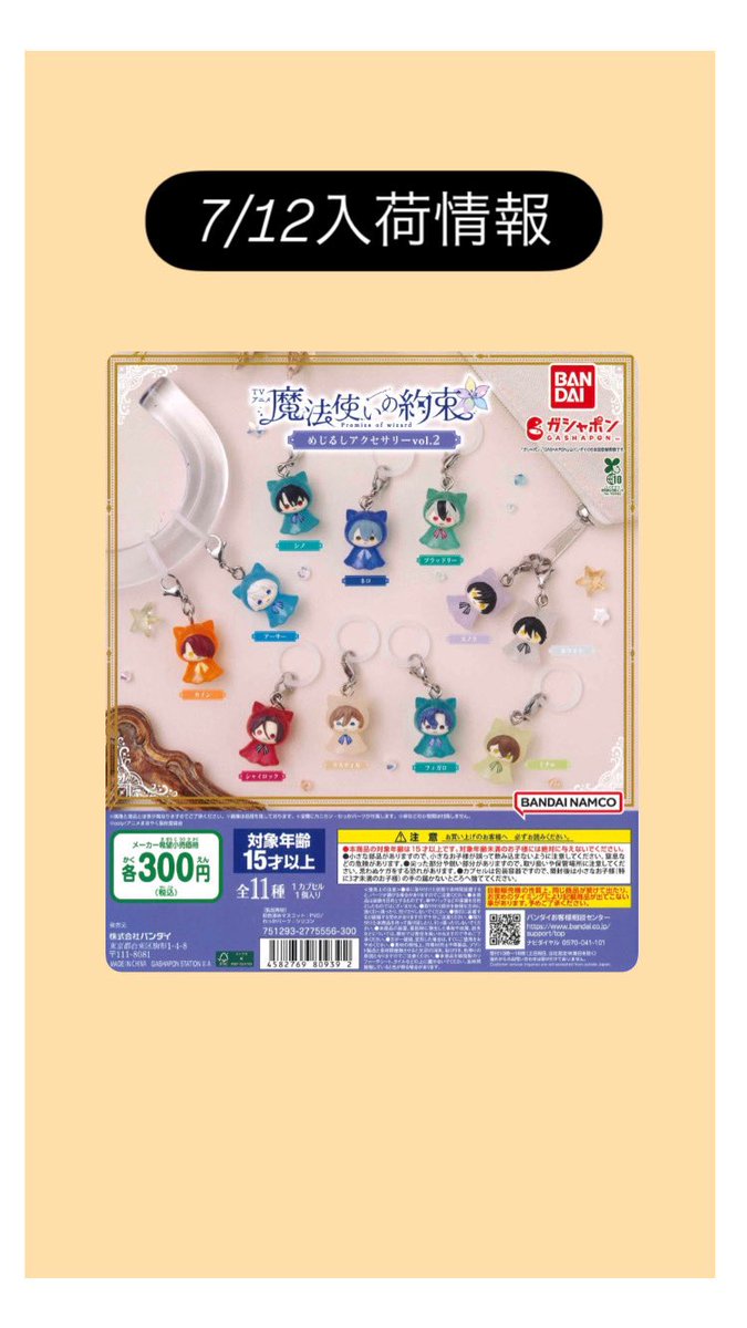 🌟本日の入荷情報🌟 📌 TVアニメ『魔法使いの約束』めじるし