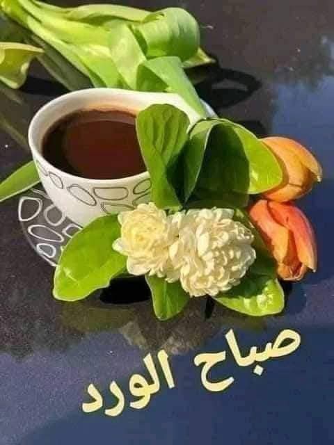 tahaelsayed307's tweet photo. @yxhoz وعليكم السلام ورحمة الله وبركاته https://t.co/bCHmvZ66Wx