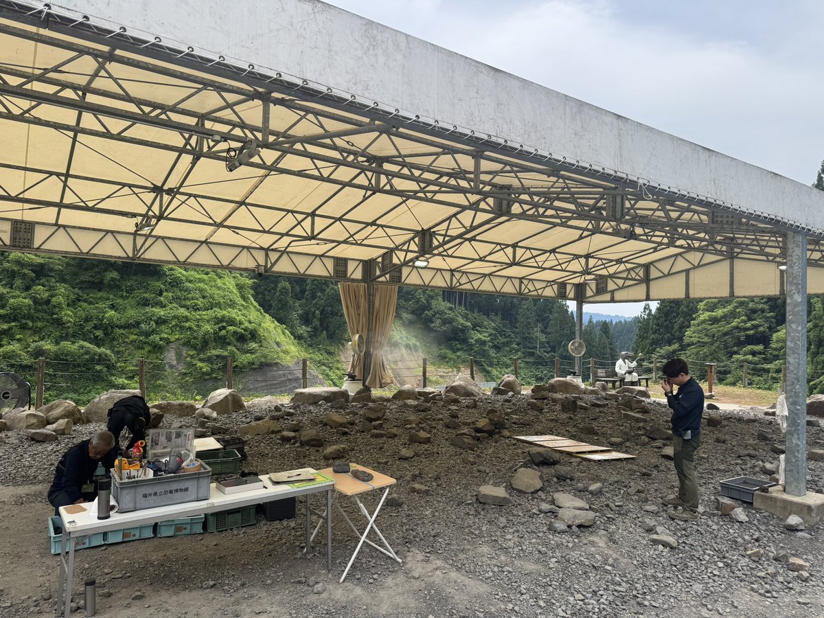 SPEED_MOST's tweet photo. 福井県立恐竜博物館で、化石発掘体験してきたよ！

貝の化石発掘しました！

#FPDM
#福井県立恐竜博物館
#化石発掘体験 https://t.co/B7BY4zhETU