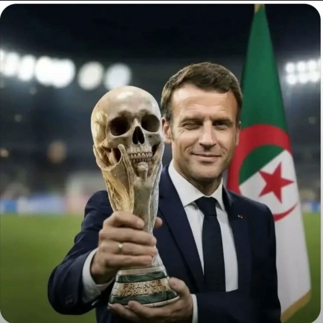 SaidSad251153's tweet photo. @HajaElHamdaouia وتبقى جمجمة جدك في يد ماكرون https://t.co/OnKDKpoYCx