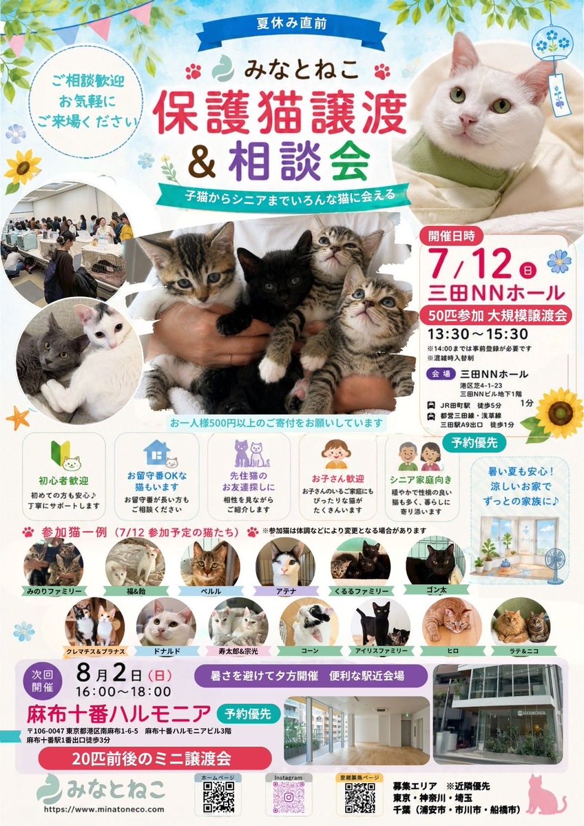 minatoneco's tweet photo. ＼本日開催🌻予約なし来場もOK／

🐈みなとねこ田町・三田譲渡会
7/12(日)13:30-15:30
📍三田NNホール＆スペース
🏢東京都港区芝4丁目1-23
🚶田町駅 、三田駅 スグ

ご来場お待ちしております🐾 https://t.co/Dj23eVTteS