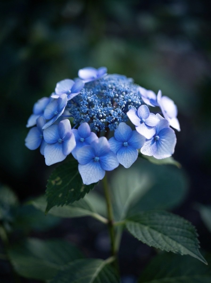 KotoneAOIp33's tweet photo. It is impossible for me to take photos like a professional photographer. Even when making full use of the latest AI generation tools, the results fell far short of achieving true-to-life realism. The generated image can only be described as a failure. https://t.co/OyEqguiUhi