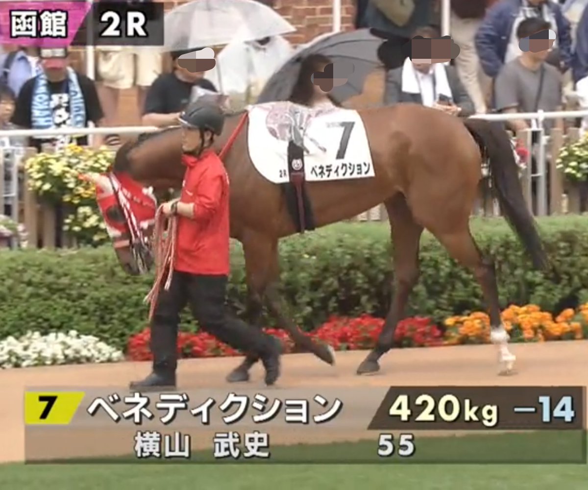 Volvo_0777's tweet photo. 勝ったあー✌️
私の初出資🐴ディメンシオンの娘で
広尾🐴倶楽部さんでの出資馬
🐴ベネディクションが 
函館🐴芝の2000mで 勝ちました
マイナス１４kgで パドックでは
落ち着かない感じで、スタート後は
後方になってしまいましたが、
コーナーで 追い込んできて
直線は抜け出し 最後は４馬身位の差を🙆 https://t.co/crKenhrfUa