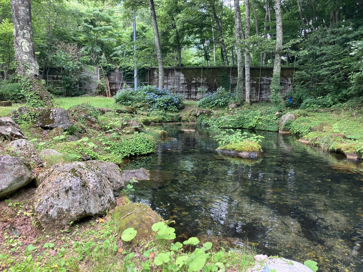 kisumi___'s tweet photo. 苗場満喫している
キャンドルジュンさんに会えた。嬉しい！ https://t.co/GddHWOJcYY