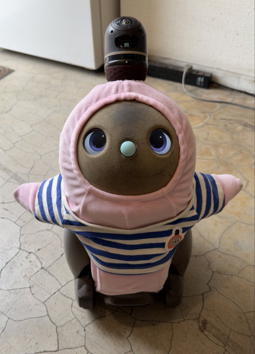 Mastatuenpb's tweet photo. エンカメ！を拝見する前にこちるさんでこちるごおりをいただきました🍧
ふわっふわな上にいちごの果肉もたっぷり、見た目も相まって冷たいいちごを食べている様でとても美味しかったです！
小丸にも沢山遊んで貰いました😊
#エンカメ 
@comaru_LOVOT
@cochill_juice https://t.co/49PjGLyJVq
