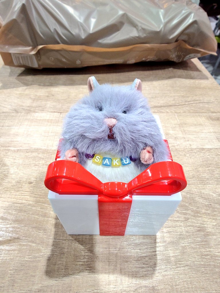 aishitene44's tweet photo. もっちゅりんも並べば買えそうだったけど娘に拒否された〜🥺
でも欲しかった３１のプレゼントBOX🎁が買えたからまぁいいっか✌️

 #はむにぎり  #ちいかわ  #ぬい撮り https://t.co/diQ8d4y7c2