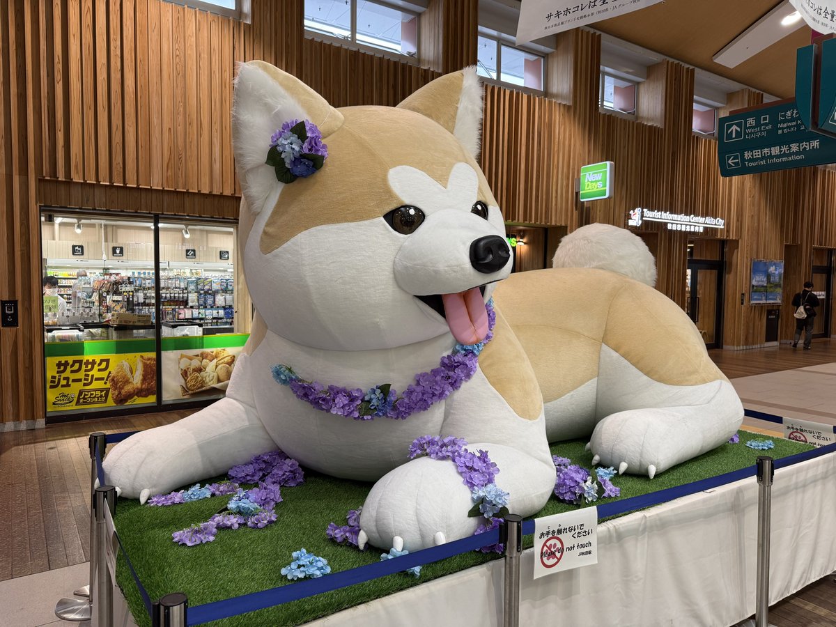 tako6373's tweet photo. とうちゃこ https://t.co/2VT2TMMaGG