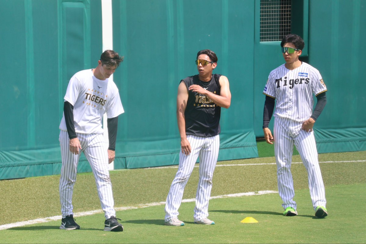 daily_mmy's tweet photo. SGLでは残留練習が行われていました。
選手の皆さんも暑そうです🫠

#阪神タイガース
#畠世周 #湯浅京己 #イーストン・ルーカス　#神宮僚介 #茨木秀俊 #石井大智 #桐敷拓馬
（敬称略） https://t.co/IHqSWBKMEh