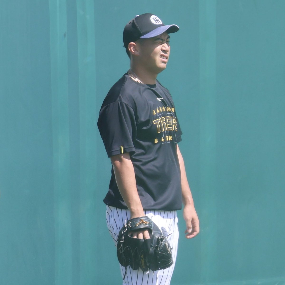 daily_mmy's tweet photo. SGLでは残留練習が行われていました。
選手の皆さんも暑そうです🫠

#阪神タイガース
#畠世周 #湯浅京己 #イーストン・ルーカス　#神宮僚介 #茨木秀俊 #石井大智 #桐敷拓馬
（敬称略） https://t.co/IHqSWBKMEh