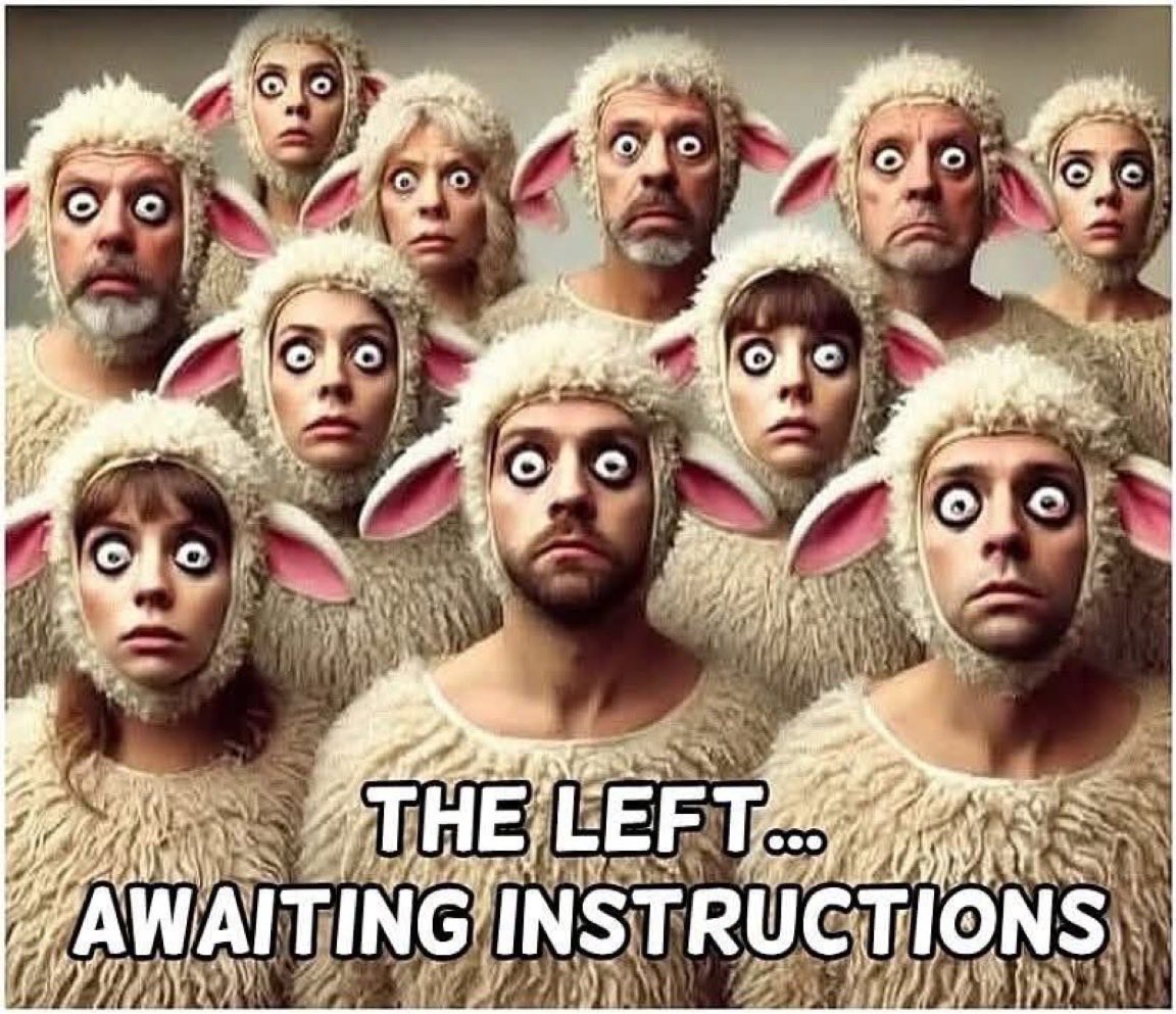 PattyCakes1203's tweet photo. @drtexdi @PVoice2089 @reallydrsam @Suzierizzo1 You saw what Liberal MSM wanted you to see…
Sit Down 🤡
#Television #Program #Brainwash https://t.co/MSqonMlFYK