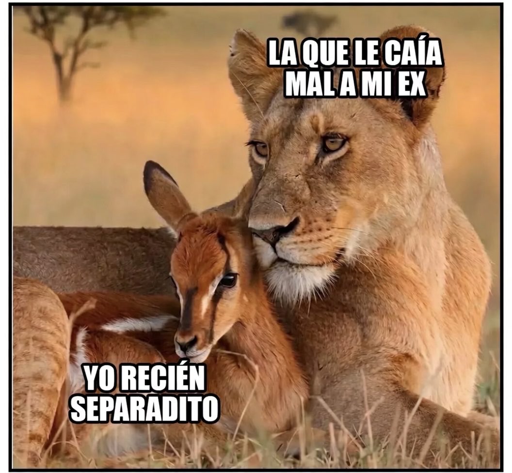 MemeversGZ's tweet photo. Viendo el mundial ya deslechado https://t.co/BmBEVcU6MD