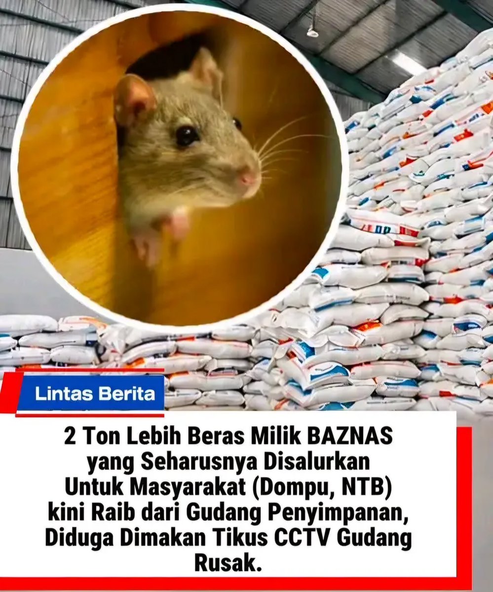 🄽𝚎𝚘 tweet media