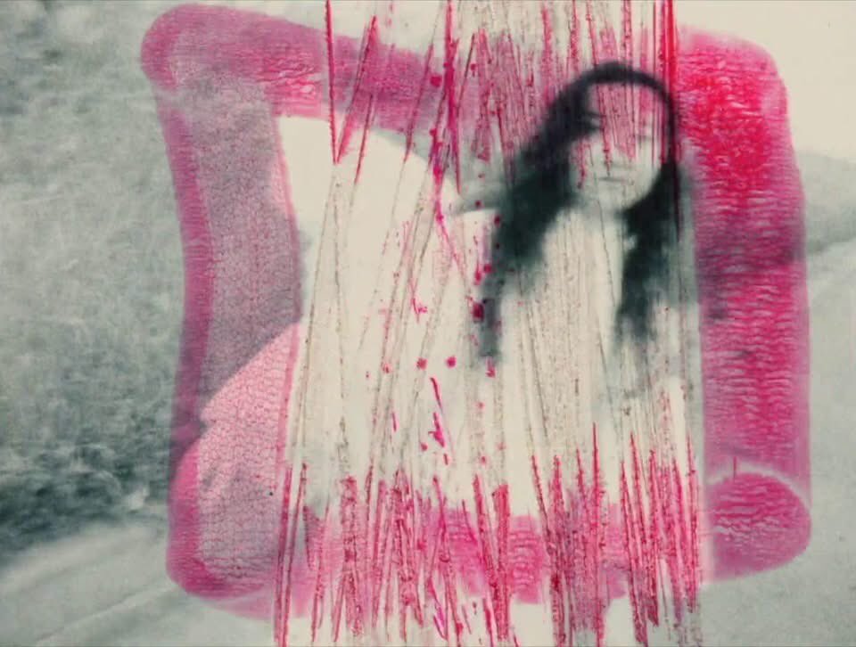 hauntedreigns's tweet photo. the god crippled with one leg 片足の神様 (1994) dir. jun kurosawa https://t.co/YH9paszY2Y