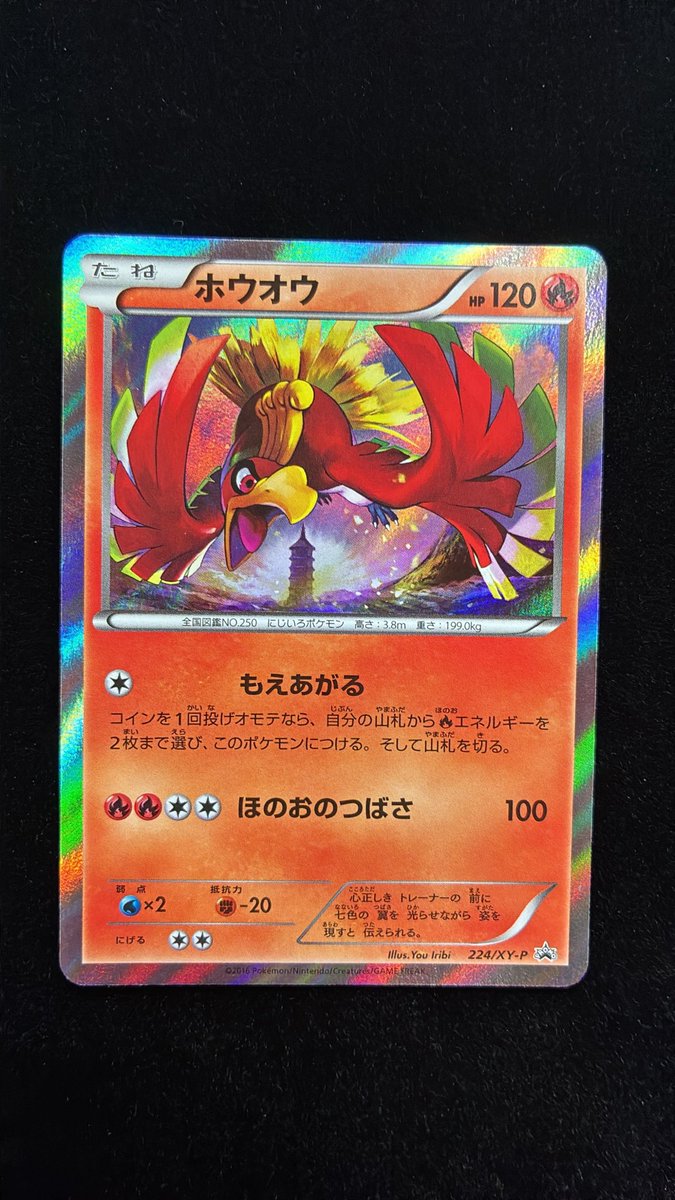 ✨商品紹介✨ 🦚ホウオウ（224/XY-P）🦚 値段:¥2️⃣5️⃣