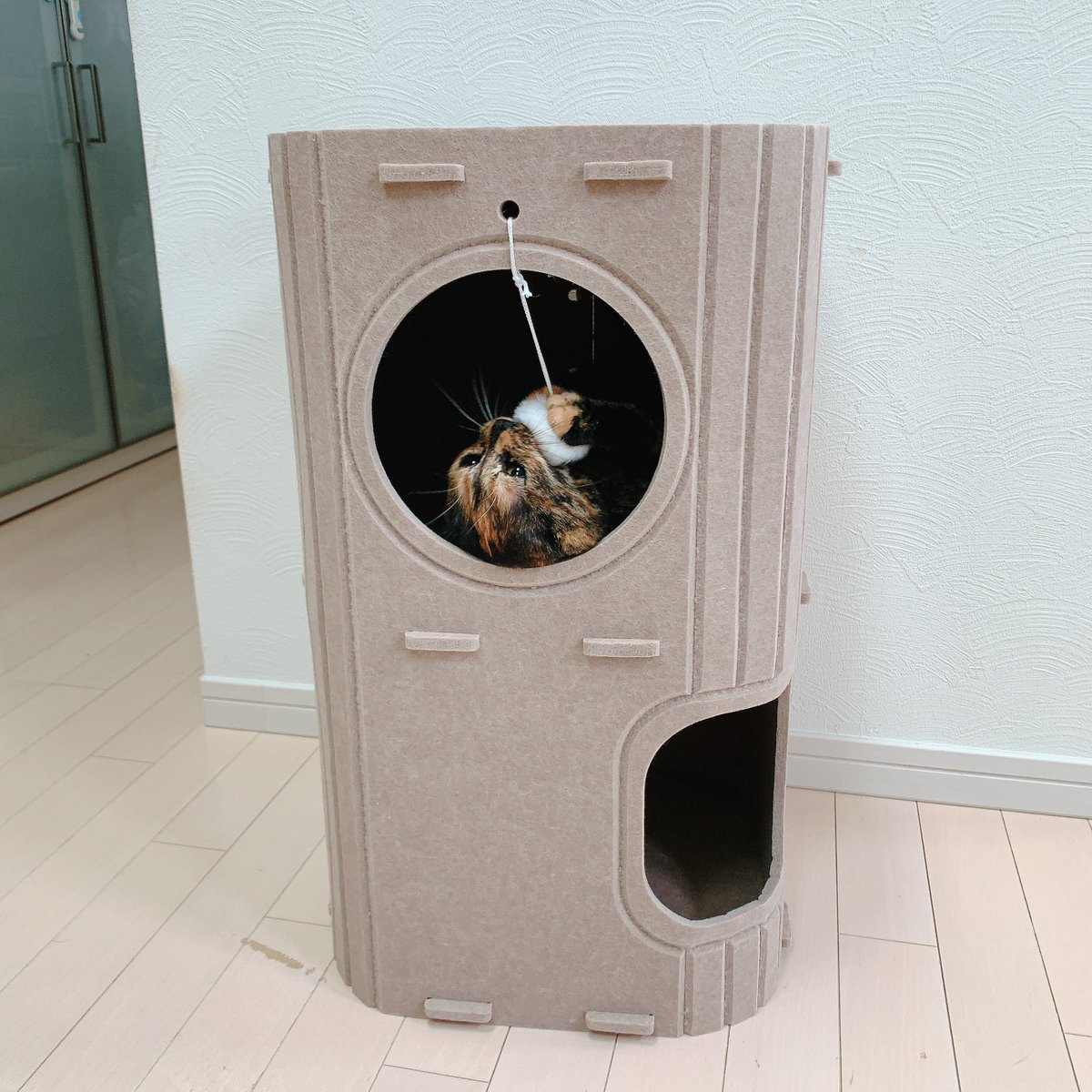 asarichan0420's tweet photo. ニトリで買ってきました。
建築中にも入ってきて大変組み立てにくかった。楽しそうでなにより🤗 https://t.co/ATyVG9fdhX