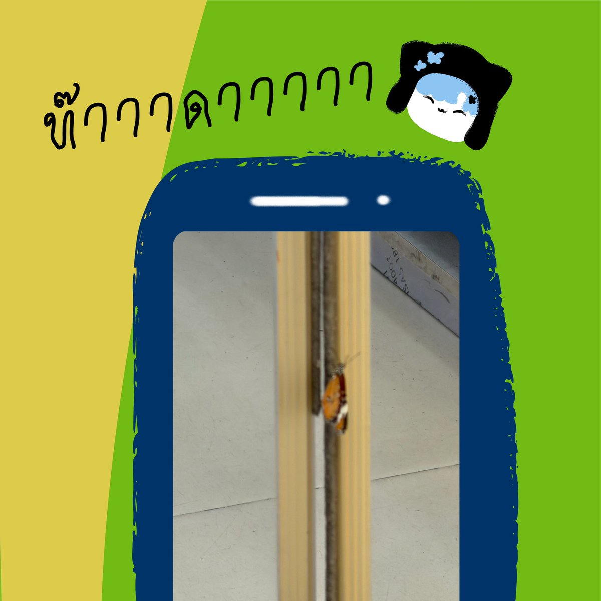 MhiiPraew_DMD's tweet photo. ผีเฉื้อออ สีส้ม ที่เจอวันที่ไปเดินเล่นหนูเอามาให้อุนย่าอุนยายดูแย้ววว แชะไม่ทันตอนปีกกาง อุนย่ายยังเห็นม้ายคะ จาถ่ายมาให้ดูอีกก งิงิ 🦋🩵🧡

#MhiiPraew https://t.co/3mXTGPbOLq